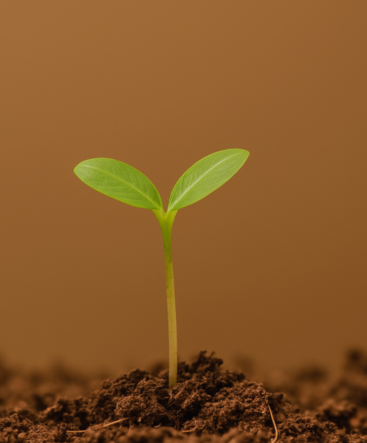 Why It Makes No Sense to Have a Non-Biodegradable Birthing Pool